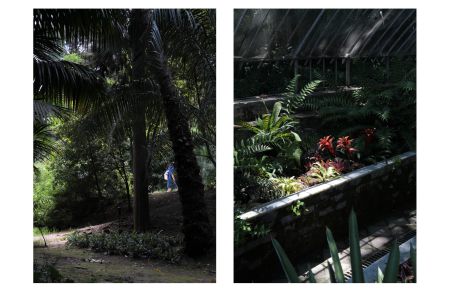 Botánico-Histórico - Tracing Botanical Migrations