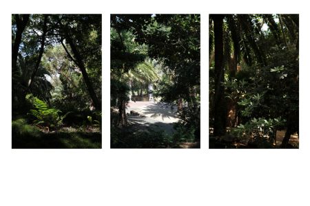 Botánico-Histórico - Tracing Botanical Migrations