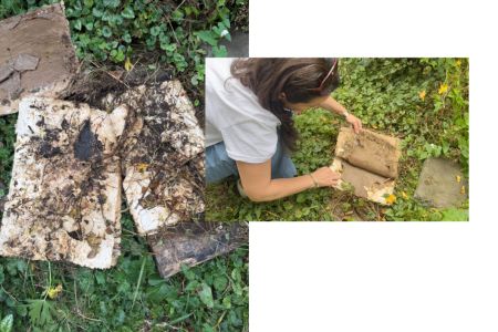 Earth, light and time