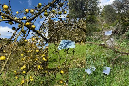 Earth, light and time